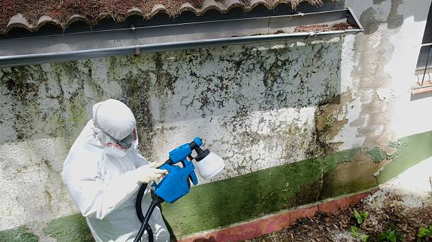 Top rated local Attic Mold Remediation specialists in Lykens, PA